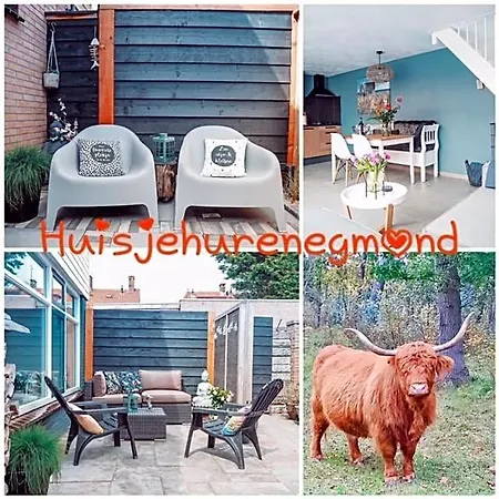 Joeys Place